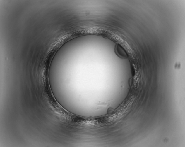 X0000099290306200805161331