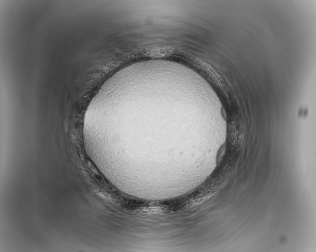 X0000099290307200805161331