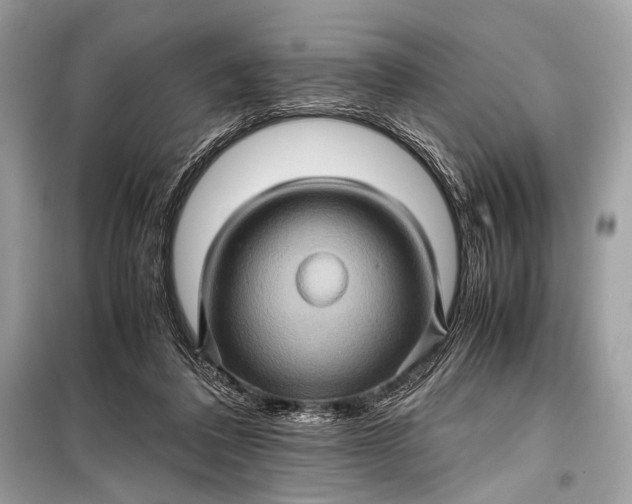 X0000099290308200805161331