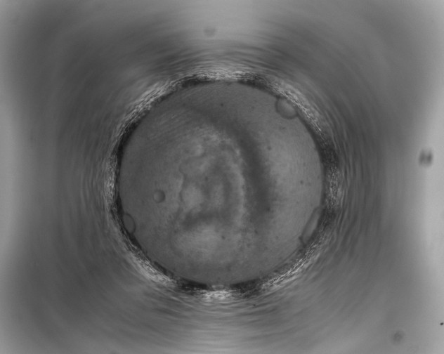 X0000099290309200805161331