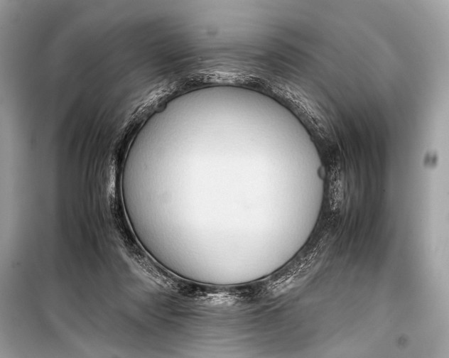 X0000099290310200805161331