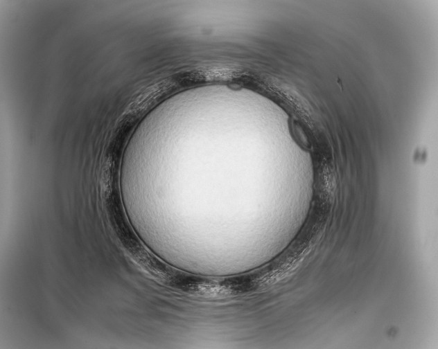 X0000099290311200805161331