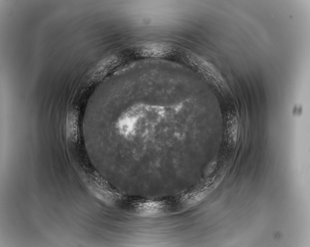 X0000099290312200805161331