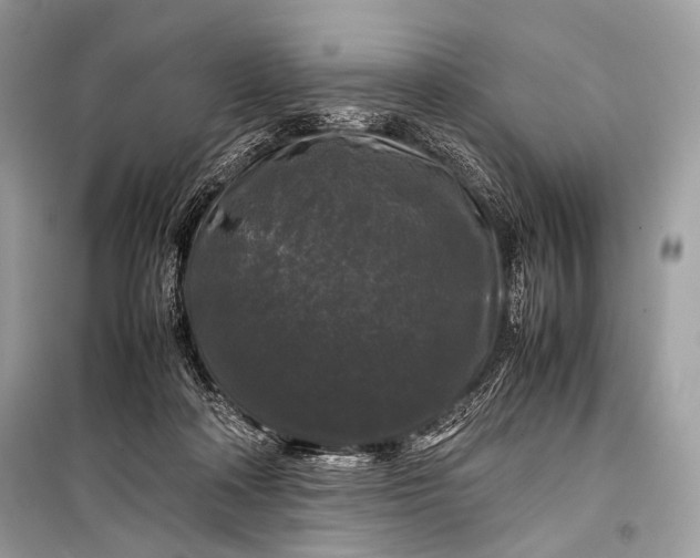 X0000099290314200805161331