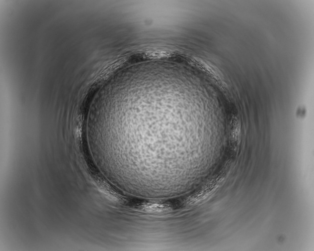 X0000099290315200805161331