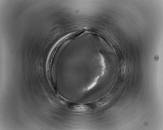 X0000099290316200805161331