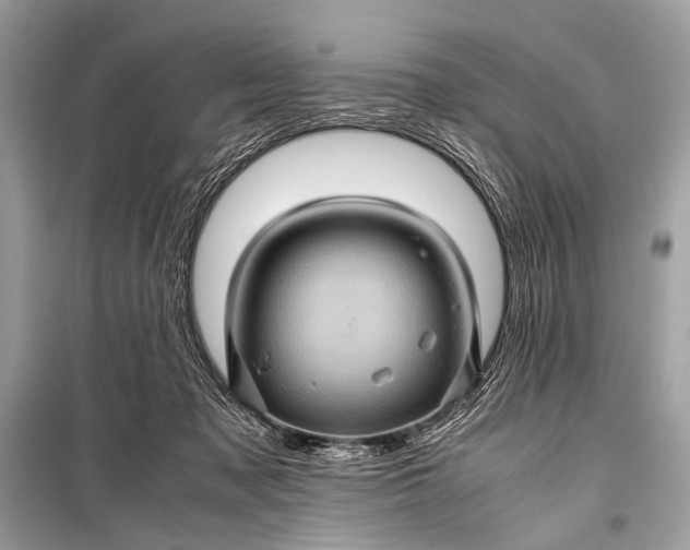 X0000099290317200805161331