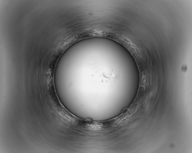 X0000099290318200805161331