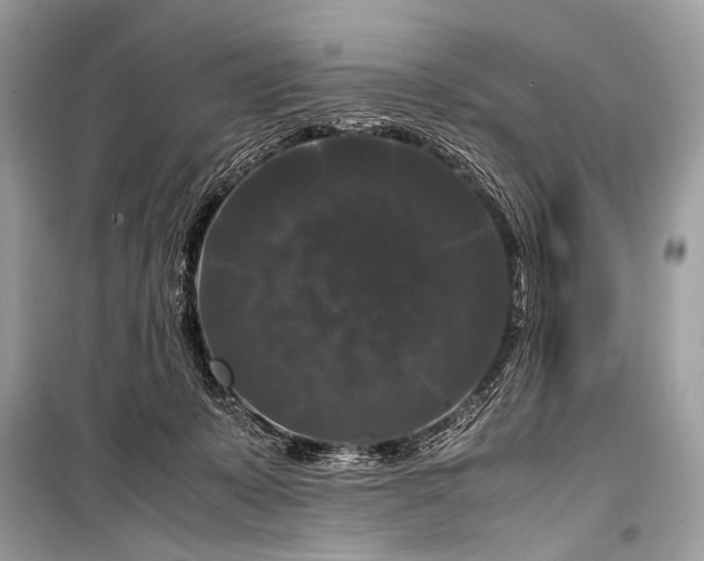 X0000099290319200805161331