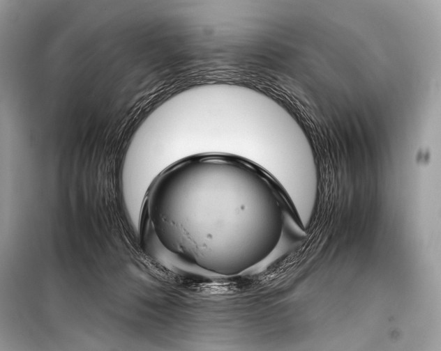 X0000099290320200805161331