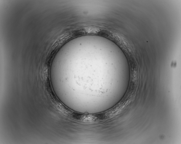 X0000099290321200805161331