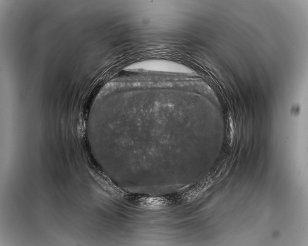 X0000099290324200805161331