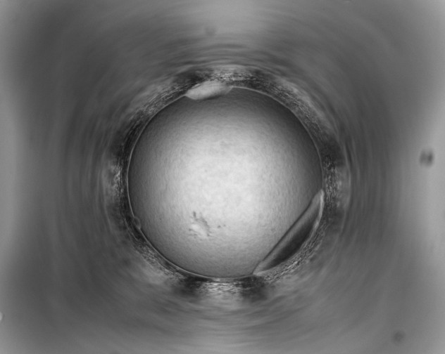 X0000099290327200805161331