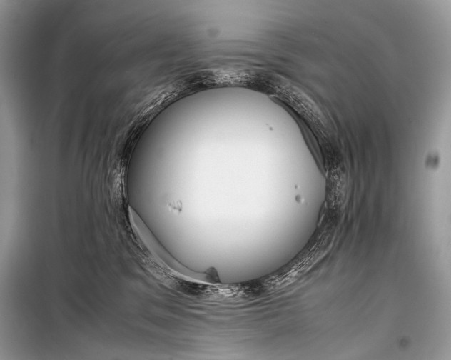 X0000099290329200805161331