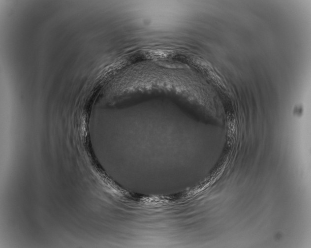 X0000099290331200805161331