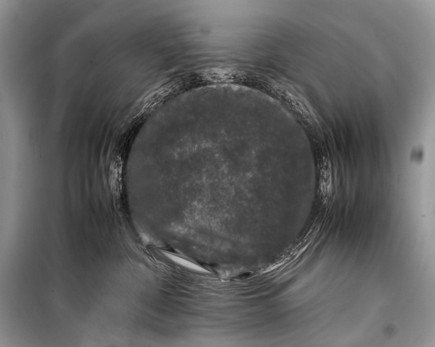 X0000099290332200805161331