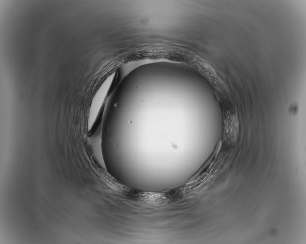 X0000099290333200805161331