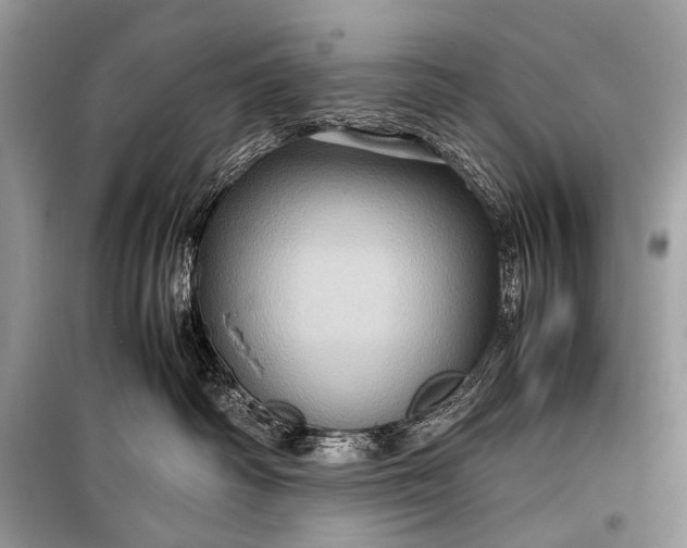 X0000099290334200805161331