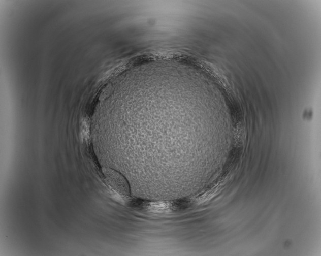 X0000099290335200805161331