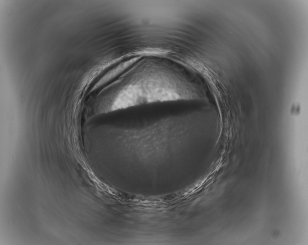 X0000099290337200805161330