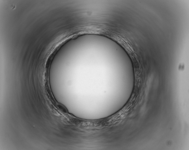 X0000099290338200805161330