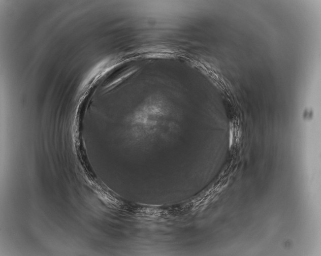 X0000099290339200805161330