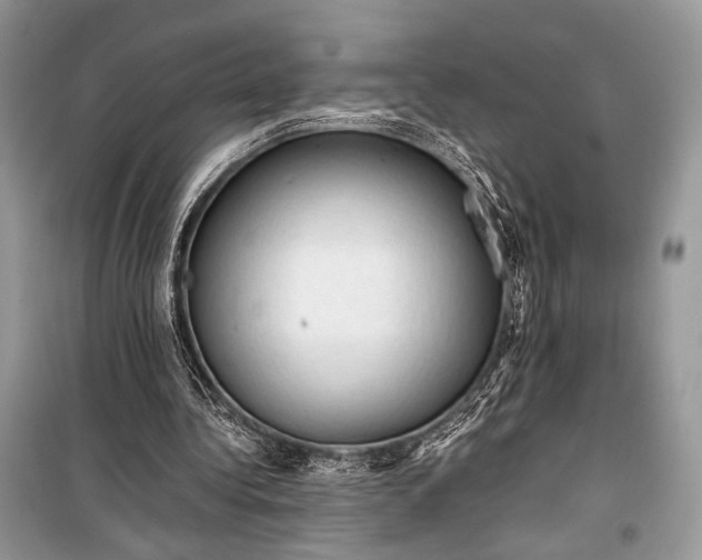 X0000099290340200805161330