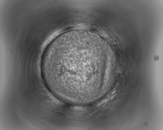 X0000099290341200805161330