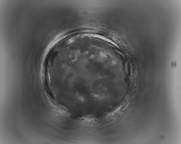 X0000099290343200805161330