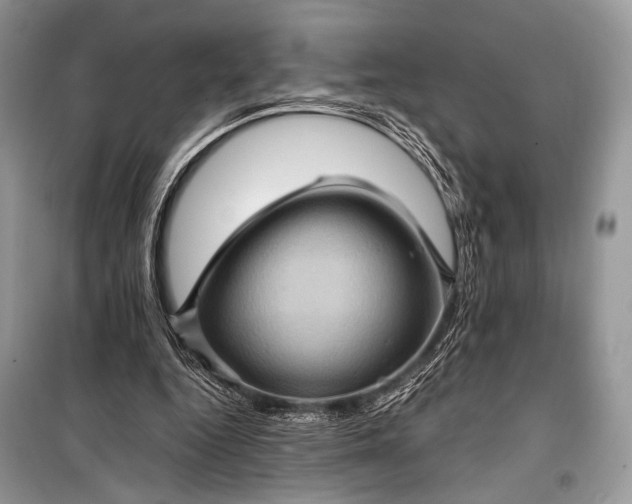 X0000099290344200805161330