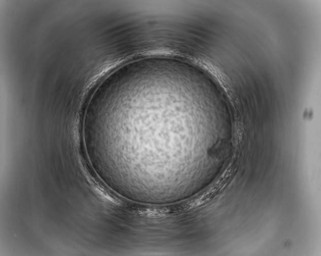 X0000099290345200805161330