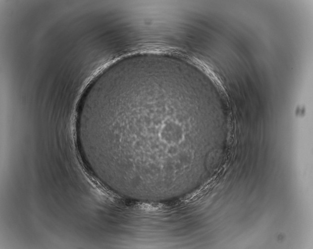 X0000099290346200805161330