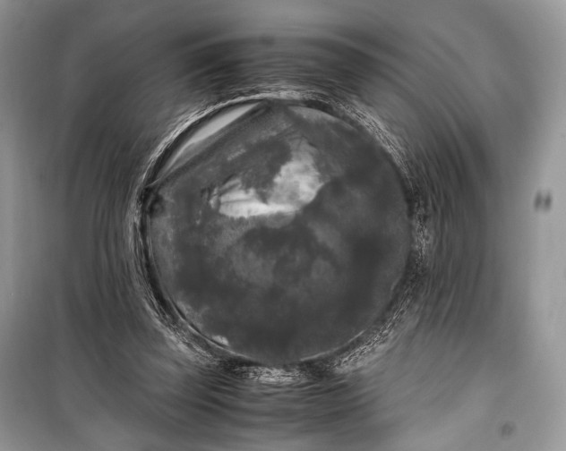 X0000099290347200805161330