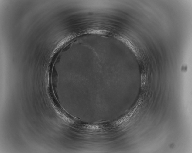 X0000099290349200805161330