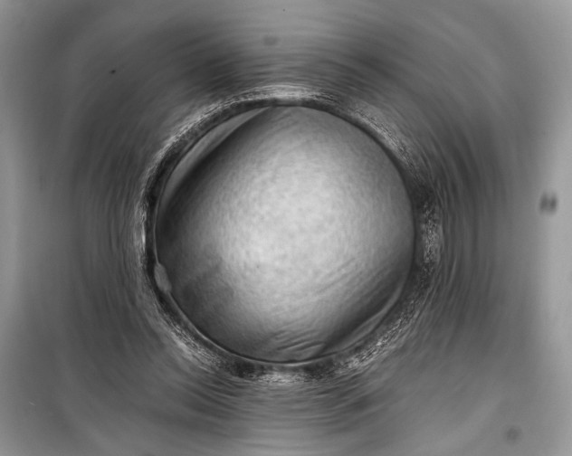 X0000099290350200805161330