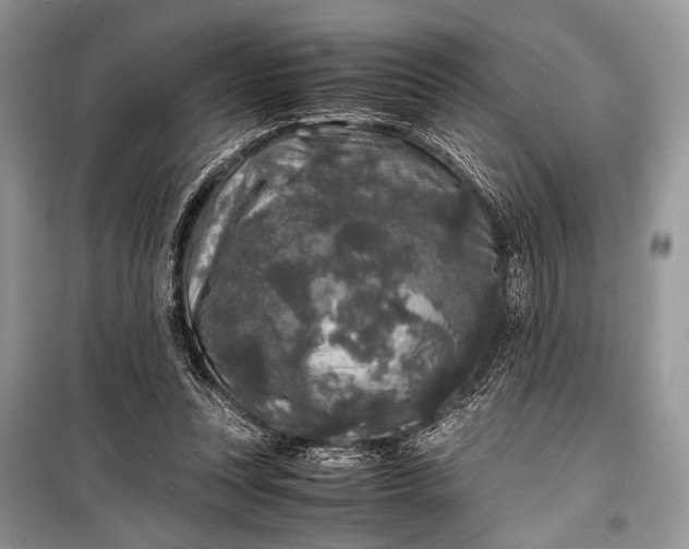 X0000099290351200805161330