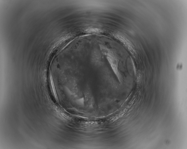 X0000099290353200805161330