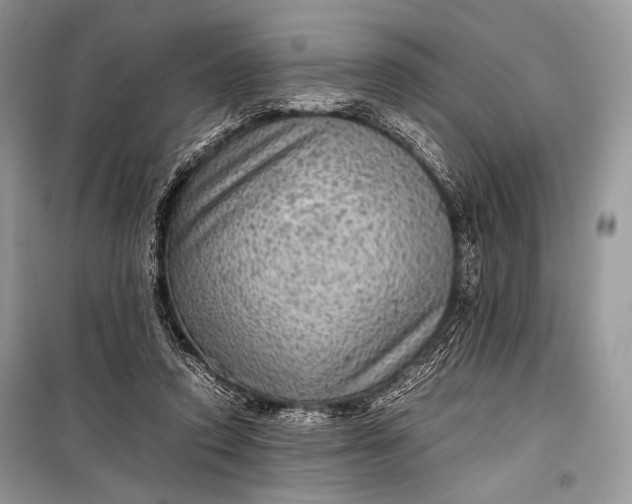 X0000099290354200805161330