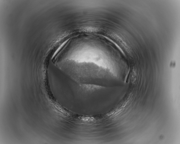 X0000099290355200805161330