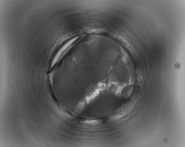 X0000099290357200805161330