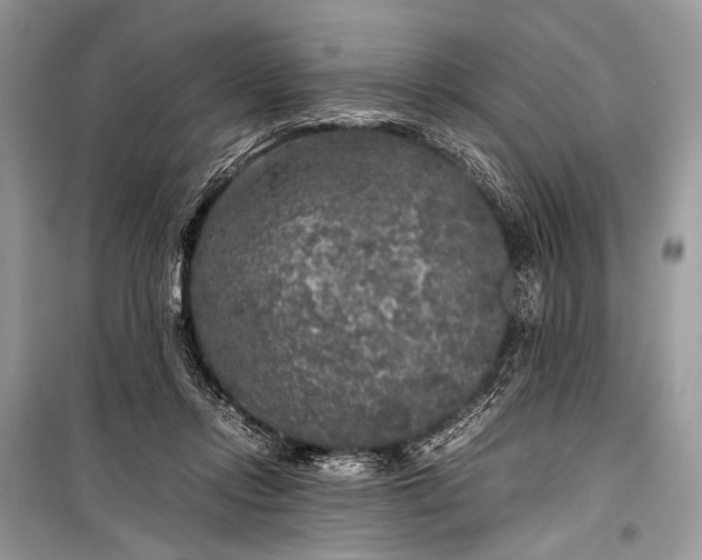 X0000099290358200805161330