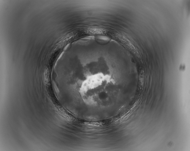 X0000099290359200805161330