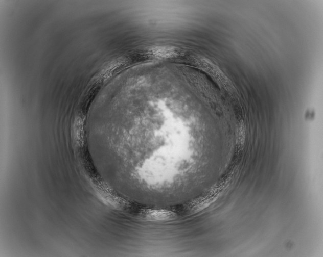 X0000099290360200805161330