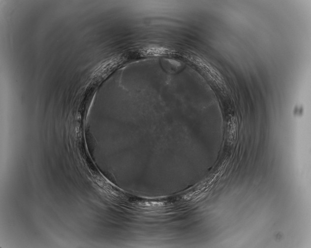 X0000099290361200805161330