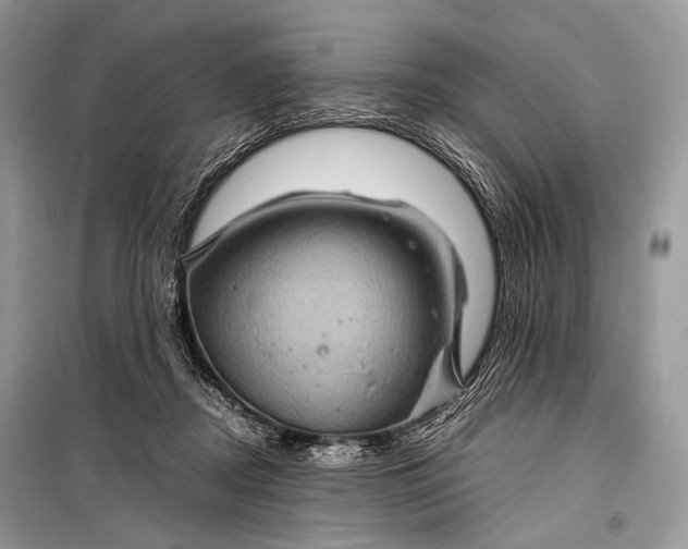 X0000099290362200805161330