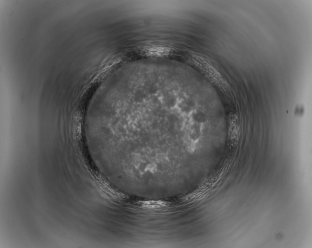 X0000099290363200805161330