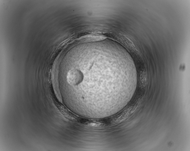 X0000099290364200805161330