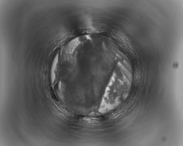 X0000099290367200805161330