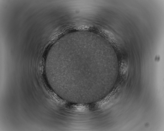 X0000099290370200805161330