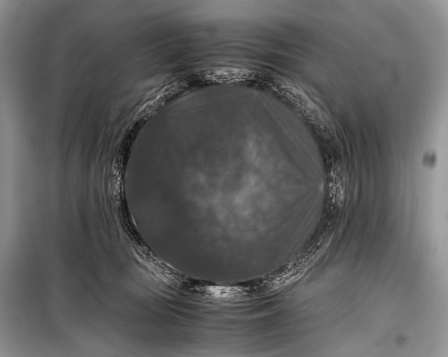 X0000099290371200805161330